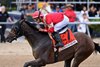 Burnham Square wins the 2025 Holy Bull Stakes at Gulfstream Park