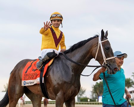 Eclatant wins the Forward Gal Stakes at Gulfstream Park