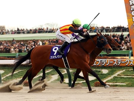 Costa Nova wins the February Stakes at Tokyo Racecourse