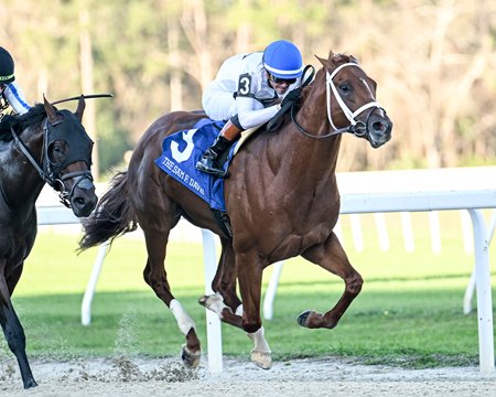 John Hancock wins the Sam F. Davis Stakes at Tampa Bay Downs