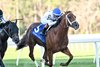 John Hancock wins the 2025 Sam F. Davis Stakes at Tampa Bay Downs