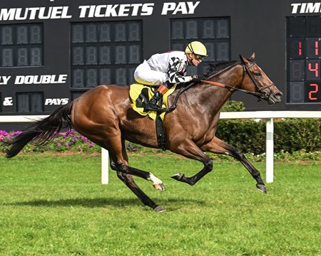 Saffron Moon wins the Endeavour Stakes at Tampa Bay Downs