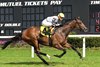 Saffron Moon wins the 2025 Endeavour Stakes at Tampa Bay Downs