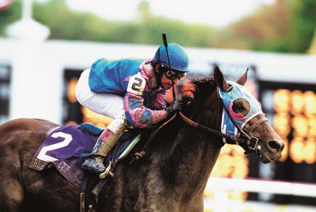 Volponi wins the 2002 Breeders' Cup Classic at Arlington Park