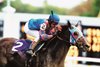 Volponi wins the 2002 Breeders&#39; Cup Classic at Arlington Park under Jose Santos
Photo by: Rick Samuels