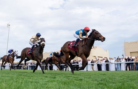Rogue Lightning wins the Dukhan Sprint at Al Uqda Racecourse