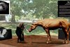 Photoshop rendering of the site where The Bond: Two Hearts - One Spirit monument will stand at the Kentucky Horse Park. The monument celebrates the extraordinary connection between Cody Dorman and Cody&#39;s Wish. 