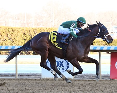 Captain Cook wins the Withers Stakes at Aqueduct Racetrack