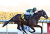 Captain Cook wins the 2025 Withers Stakes at Aqueduct Racetrack