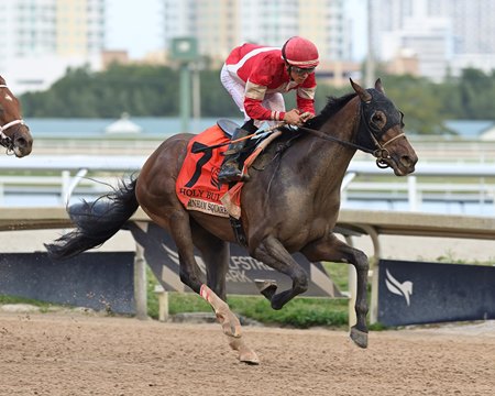 Burnham Square wins the Holy Bull Stakes at Gulfstream Park