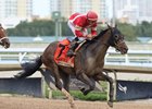 Burnham Square wins the 2025 Holy Bull Stakes at Gulfstream Park