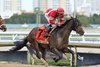 Burnham Square wins the 2025 Holy Bull Stakes at Gulfstream Park