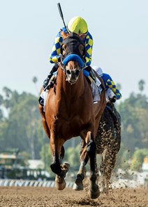 Citizen Bull wins the Robert B. Lewis Stakes at Santa Anita Park