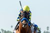 Citizen Bull and jockey Martin Garcia win the G3, $200,000 Robert B. Lewis Stakes, Saturday, February 1, 2025 at Santa Anita Park, Arcadica CA.
&#169; BENOIT PHOTO