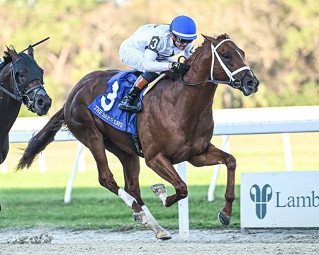 John Hancock wins the Sam F. Davis Stakes at Tampa Bay Downs