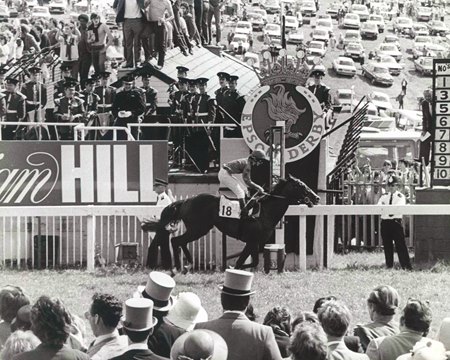 Shergar wins the 1981 Epsom Derby at Epsom Downs