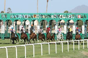 Racing at Turf Paradise