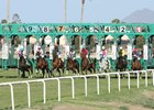 Mucho Macho Girl wins the 2025 Queen Of The Green Handicap at Turf Paradise