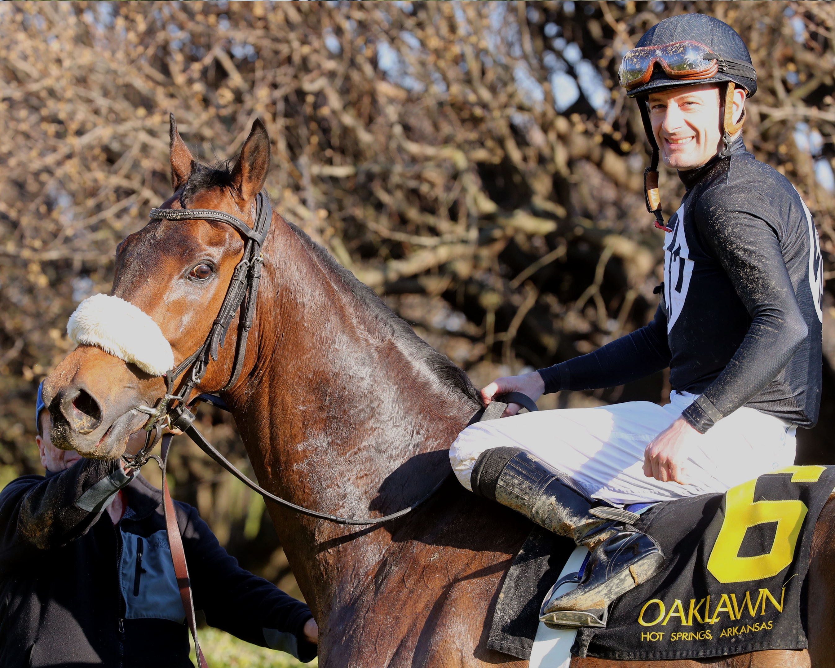 Navy Seal - Horse Profile - BloodHorse