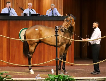 The Maxfield colt consigned as Hip 119 in the ring at the OBS March Sale