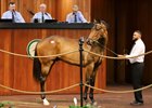 2025 OBS March 2 Year-Olds-in Training Sale, Hip 119