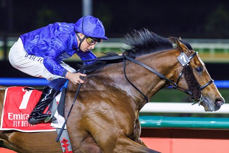 Nations Pride wins the Singspiel Stakes at Meydan Racecourse