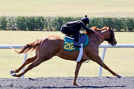 A full brother to world-record-setter Cogburn works in :21 1/5 ahead of the Ocala Breeders' Sales 2-Year-Olds in Training Sale