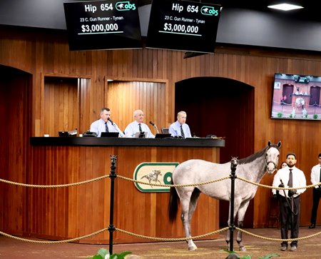 The record-setting $3 million Gun Runner colt consigned as Hip 654 in the ring at the OBS March Sale