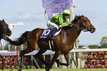 Satono Reve wins the Takamatsunomiya Kinen at Chukyo Racecourse