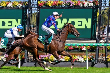 New Zealand-bred Feroce wins the 2025 Australian Guineas