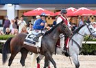 Sovereignty wins the 2025 Fountain of Youth Stakes at Gulfstream Park