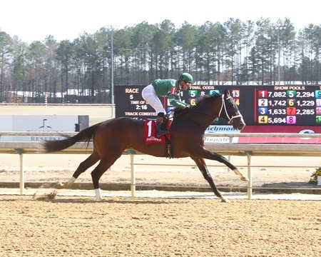 Lion of Justice wins convincingly in his debut at Colonial Downs