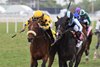 Far Bridge wins the 2025 Pan American Stakes at Gulfstream Park
