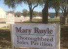 The sales pavilion at Lone Star Park is now the Mary Ruyle Sales Pavilion
