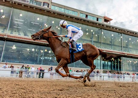 Liberal Lady wins the Shantel Lanerie Memorial Stakes at Fairgrounds