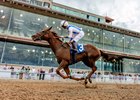 Liberal Lady with jockey Jose Ortiz aboard wins the 5th running of the Shantel Lanerie Memorial Stakes at Fair Grounds 3/23/2025  - Hodges Photography / Amanda Hodges Weir