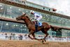 Liberal Lady with jockey Jose Ortiz aboard wins the 5th running of the Shantel Lanerie Memorial Stakes at Fair Grounds 3/23/2025  - Hodges Photography / Amanda Hodges Weir