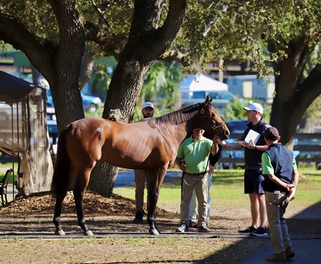 Inspections during the recent OBS March Sale