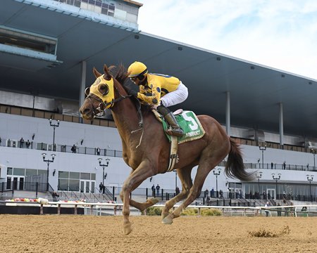 Bank Frenzy wins the Stymie Stakes at Aqueduct Racetrack