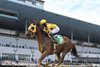 Bank Frenzy wins the 2025 Stymie Stakes at Aqueduct Racetrack