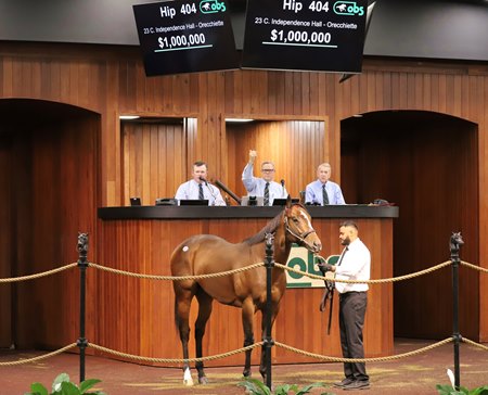 The colt by Independence Hall consigned as Hip 404 in the ring at the OBS March Sale