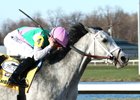 Final Gambit wins the 2025 Jeff Ruby Steaks at Turfway Park