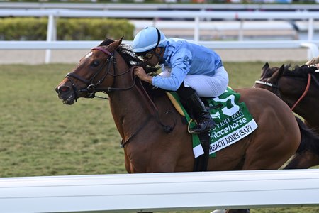 Beach Bomb wins the 1 3/8-mile The Very One Stakes at Gulfstream Park