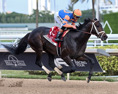 Mindframe secures the first graded stakes win of his career in the Gulfstream Park Mile Stakes at Gulfstream Park