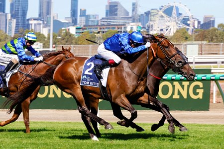 Tom Kitten wins the All Star Mile at Flemington Racecourse