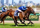 Tom Kitten wins the 2025 All Star Mile at Flemington Racecourse
ridden by Ben Melham and trained by James Cummings