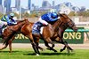 Tom Kitten wins the 2025 All Star Mile at Flemington Racecourse
ridden by Ben Melham and trained by James Cummings