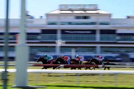 Racing at Gulfstream Park