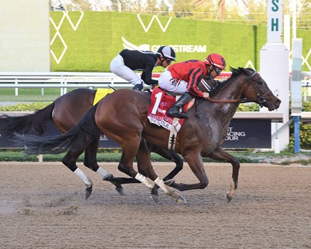 Nic's Style rallies to win the Hurricane Bertie Stakes at Gulfstream Park