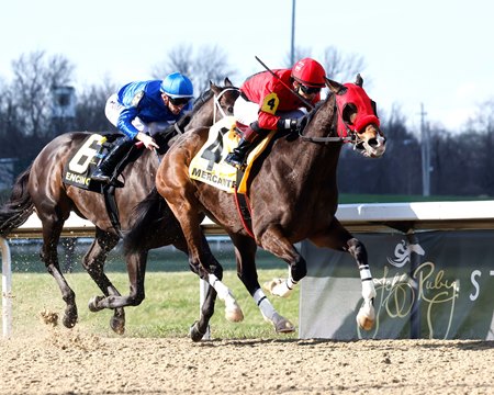 Mercante wins the Kentucky Cup Classic Stakes at Turfway Park